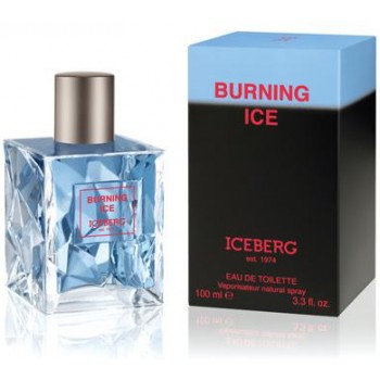Iceberg Burning Ice for Man